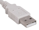 Beige Color USB 2.0 A Male to B Male Cable AllCables4U