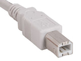 Beige Color USB 2.0 A Male to B Male Cable AllCables4U